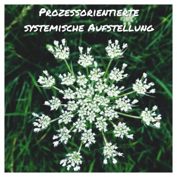 Was ist eine systemische Aufstellung