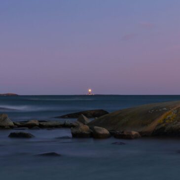 Es geht zu Ende – das Jahr 2019