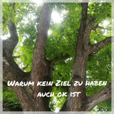 Warum es auch ok ist, kein Ziel zu haben