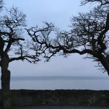 Kläre Deine Energie!