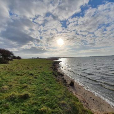 Erwache aus deinen Träumen