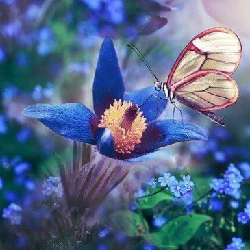 Deine Ziele für nächste Woche