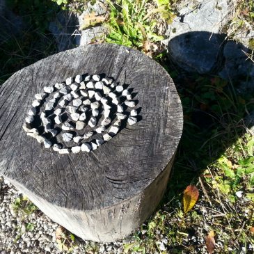 Setze die richtige Ursache