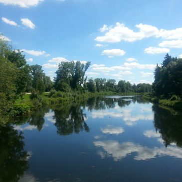 Schwimme mit dem Strom🐠