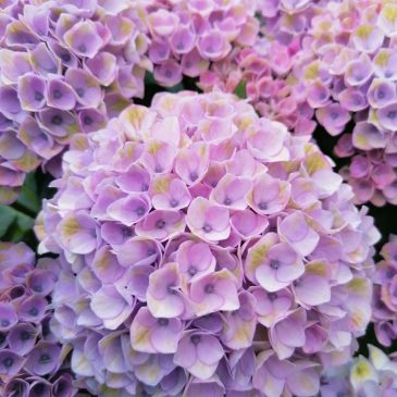 Sei dir selbst ein guter Partner